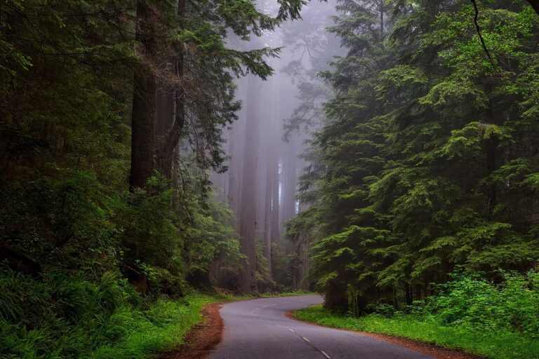 finding inspiration in nature