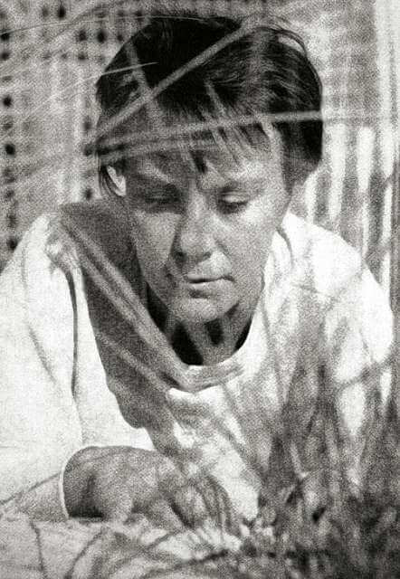 Harper Lee, writer