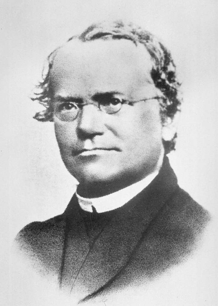 gregor-mendel gregor mendel portrait