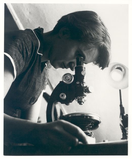 rosalind-franklin